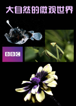 BBC大自然的微观世界