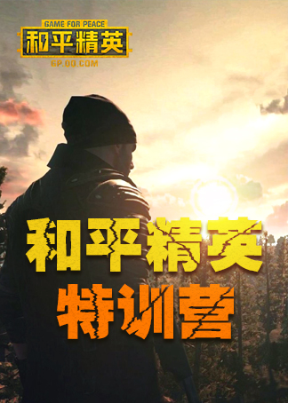 和平精英特训营