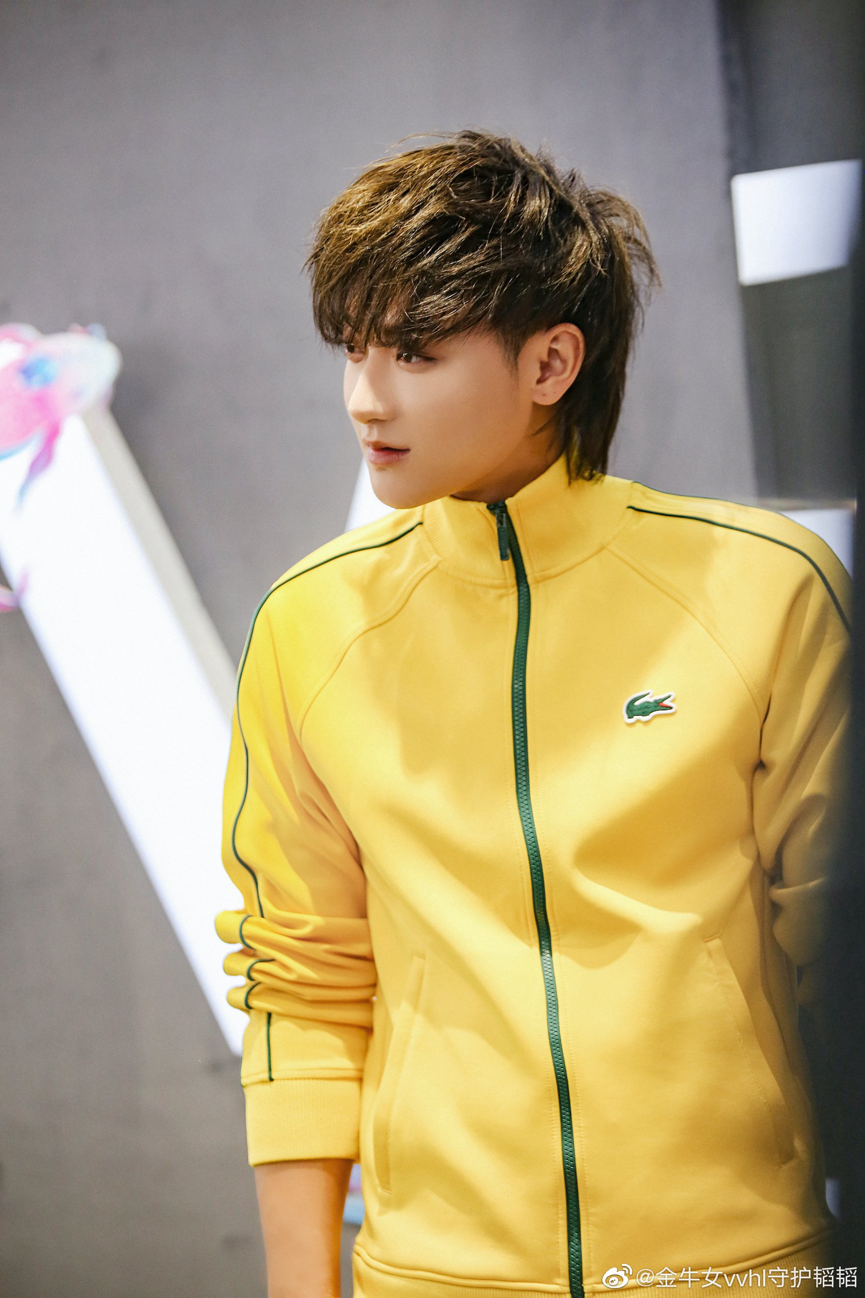 海不会不蓝海浪不会不在