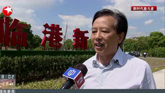 王振富:拓荒耕耘十余载 与临港一起"破茧成蝶"