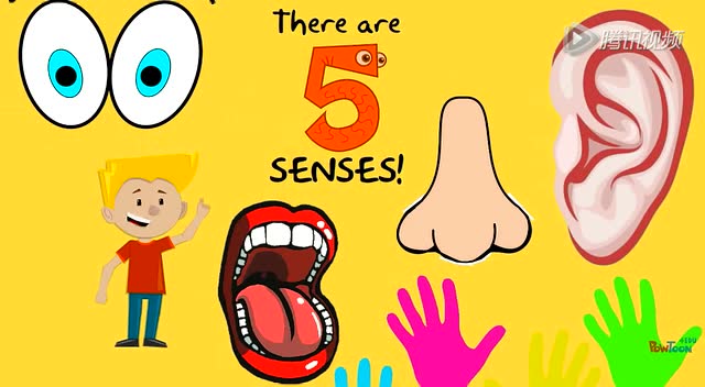 5 senses - my five senses