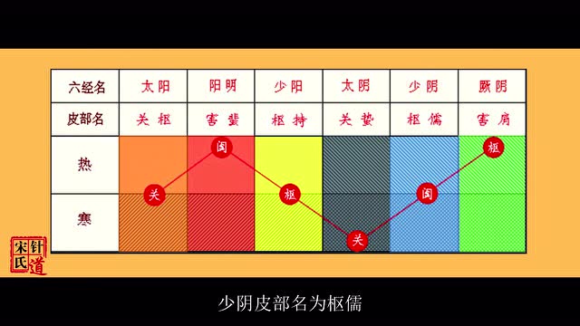 第七讲 十二皮部