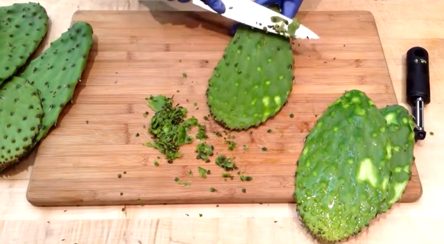 你吃过炒仙人掌吗?让我们见识下大神是怎么吃它的!