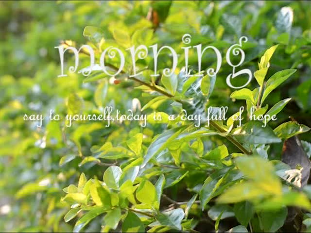 嗒嗒初生蛋广告视频-竹林夕策划