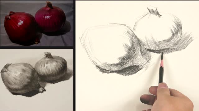 杭州吴越画室素描静物洋葱示范
