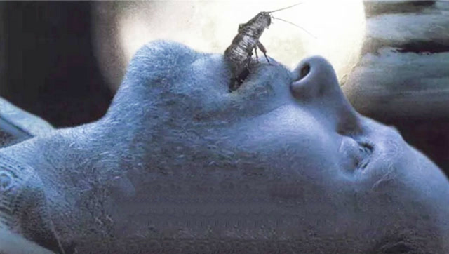 怪咖电影说嗜血蟑螂变异蟑螂过境人畜不生