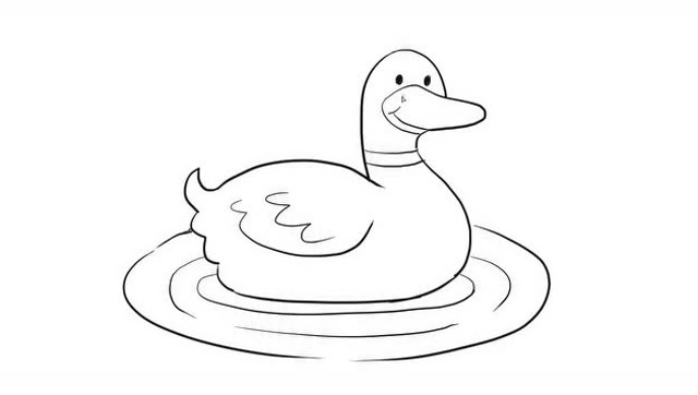 游泳的小鸭子简笔画图片