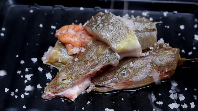 在码头花15块钱跟渔民买一条竹甲鱼,回家白菜炖汤,吃的一点不剩!