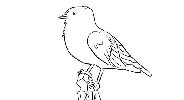 鍙埍鐨勫崱閫氬皬楦熺畝绗旂敾鏁欑▼