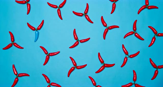 一枚蓝色辣椒的奇异旅行