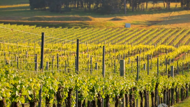 澳大利亚玛格丽特河葡萄酒产区旅游介绍