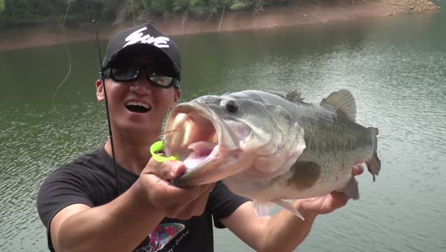 ewe路亚——夏利俊分享钓获巨型bass的秘密