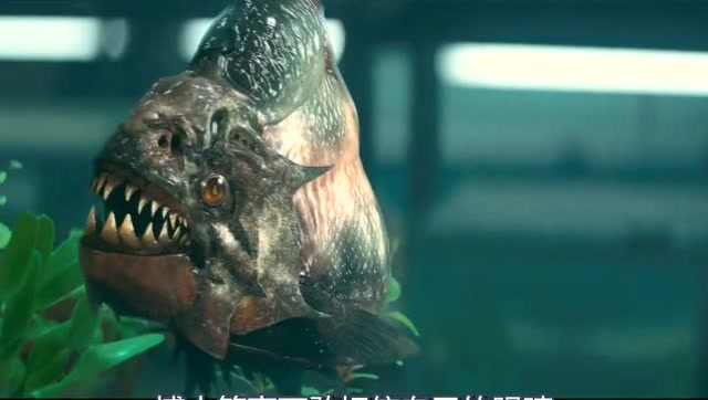 3分钟看完美国惊悚电影《食人鱼3d》