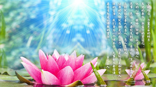 一念一清静《心是莲花开》听一次为家人祈福,多听保平安