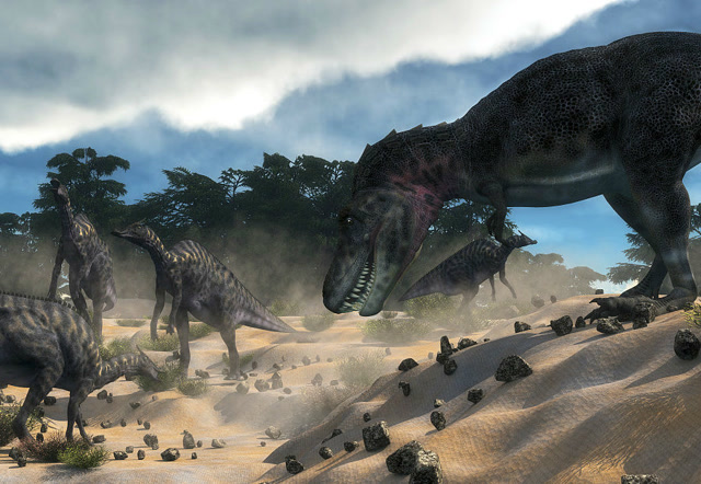 恐龙家族比武对抗游戏:特暴龙对打霸王龙!