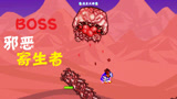 天铭 泰拉瑞亚 仙人掌MOD 45 邪恶寄生者BOSS terraria