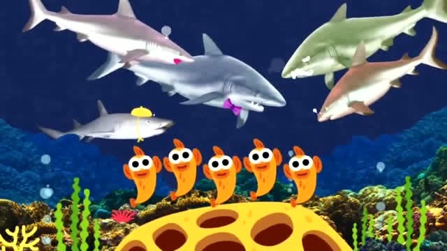 碰碰狐海底乐园 可怕的鲨鱼一家来了