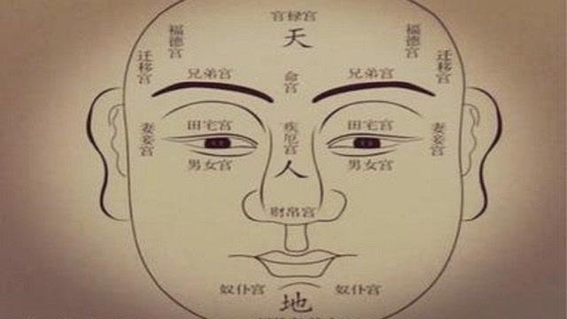 面相分为十二宫,从财帛宫就可以看出,人生的成败吉凶!