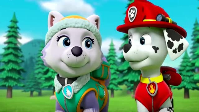 汪汪队立大功:珠珠带着伙伴们去给杰克找月桂梅