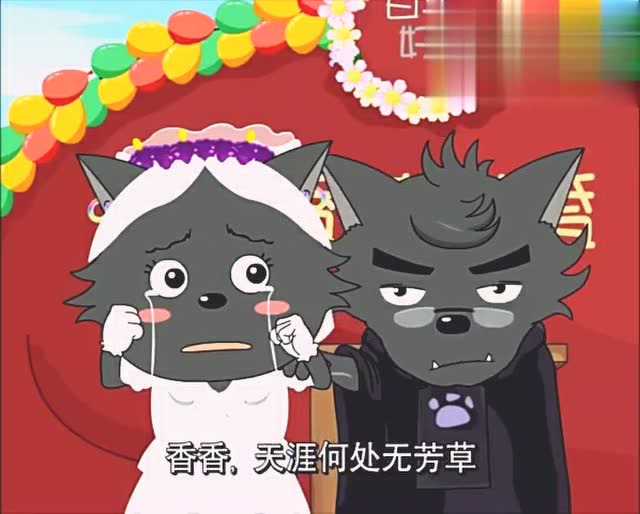 蕉太狼与香太狼准备结婚,没想到蕉太狼悔婚夜太狼临时上位