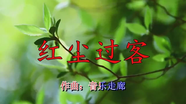 歌一生《红尘过客》难以抗拒的歌声,非常好听的歌