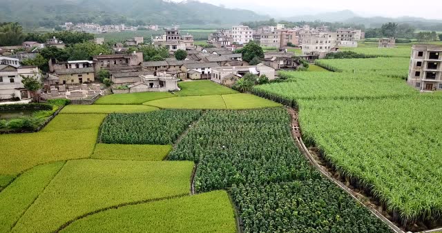 玉林樟木镇塘川别墅181020-02