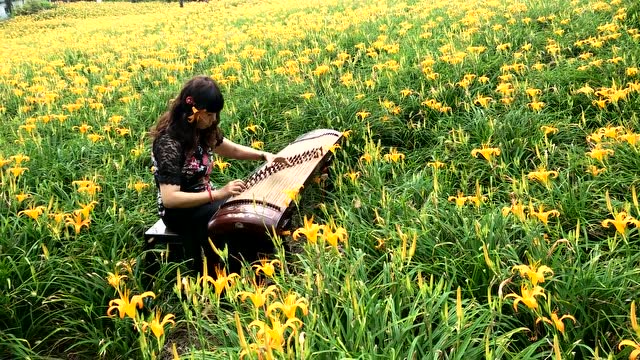 古筝表演:艺术家花海中演奏《在那遥远的地方》,真是美的享受!