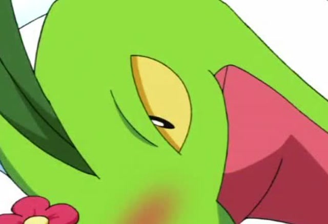 神奇宝贝,小智的森林蜥蜴有喜欢的神奇宝贝了,小智还是一脸懵逼