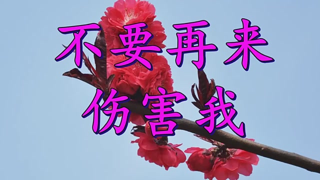 不要伤害我 腾讯网