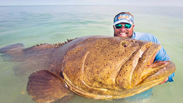 海钓:钓获2米多长近400斤的超大鱼是什么体验?看这位胖叔就知道
