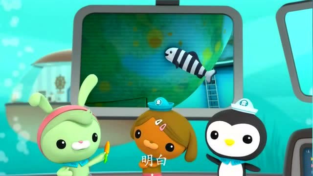 海底小纵队:引水鱼是鲨鱼刷牙的好帮手,它俩是一对好朋友!