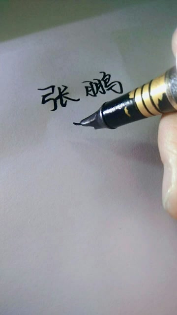 张鹏,你的签名写好了