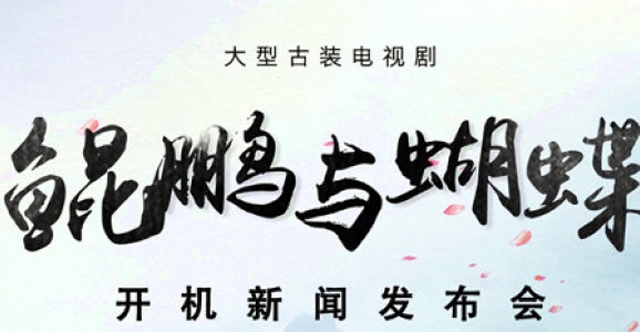 电视剧《鲲鹏与蝴蝶》开机发布会