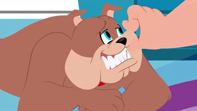 新猫和老鼠:在主人面前,斯派克都是很乖巧的