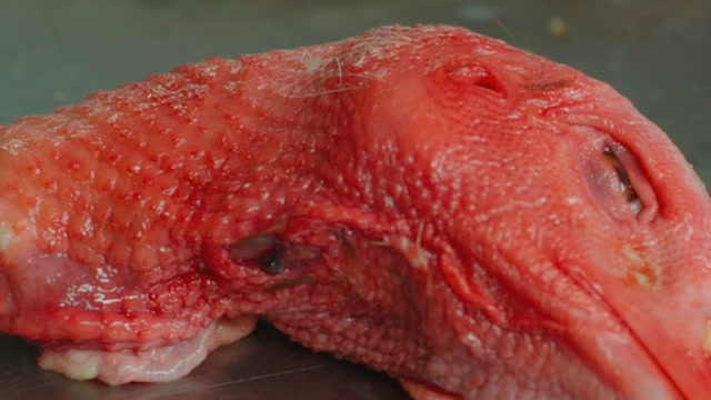 炸鸡店用"流感鸡"做鸡排,吃了的人全都变成怪物,到处吃人