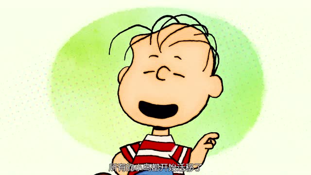 《史努比》莱纳斯:是时候了,所有的小鸟都开始迁移了