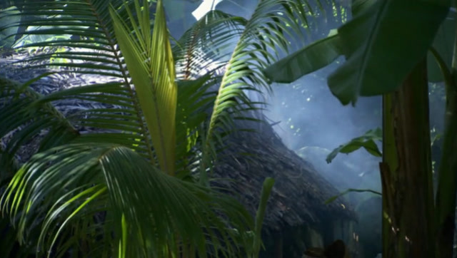 阿努塔岛的生活方式,自从祖先来到这里后,就没有什么变化!