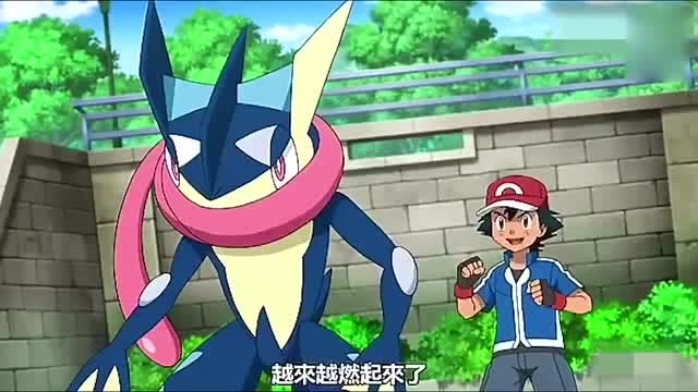 神奇宝贝超进化喷火龙vs甲贺忍蛙首次对战