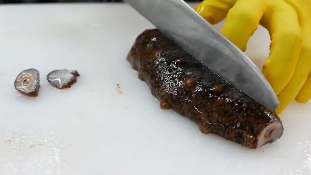 极品野生大海参,切开后还在动,放进嘴里直接生吃!