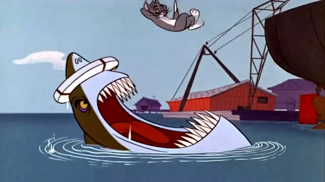 猫和老鼠:汤姆掉到海里,刚好掉进鲨鱼的嘴里,真是太惨了!