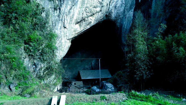 贵州一户人家连续五代人隐居山洞,天天吃野菜,肉都不用外面买!