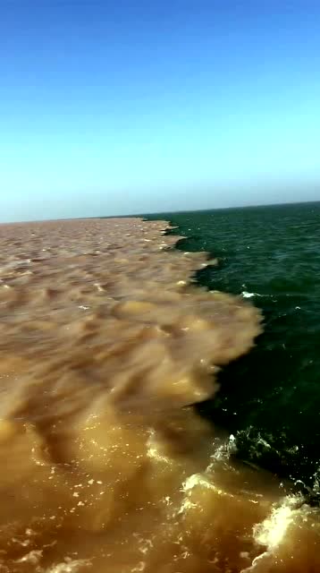 黄海和渤海的交汇处这景观也是够奇葩的了