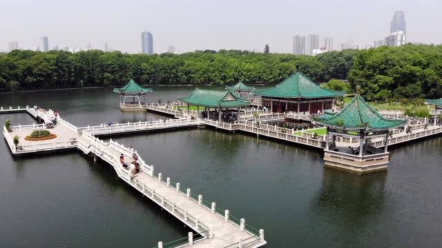 武汉东湖,临空飞跃九曲桥,碧潭观鱼风光美