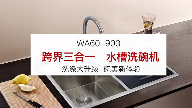 皮阿诺-水槽洗碗机