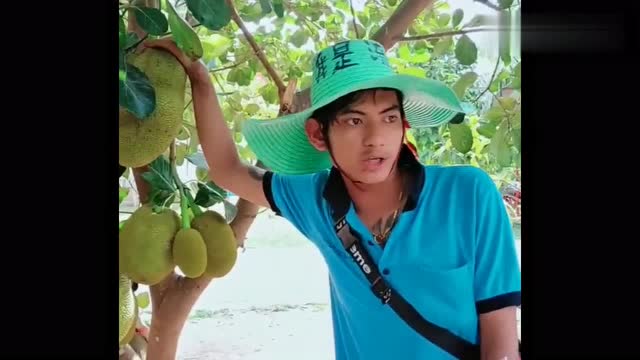 为什么菠萝蜜叫菠萝蜜,泰国导游小哥这样告诉你,真是太逗了!