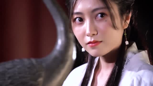 《将军与姬十二》失信于你是为护你平安,哪知终是被君上抓了软肋