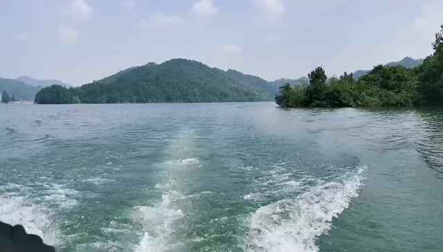 江间波浪兼天涌