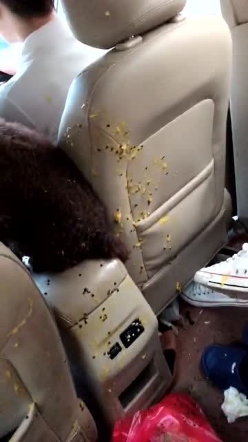 老哥上辈子是个豌豆射手吧,喝多了还能这样吐,司机脸都是绿的