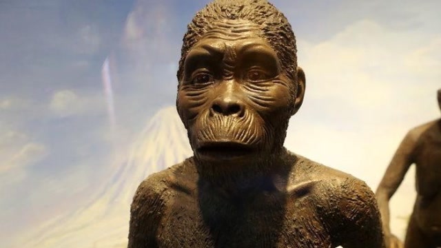 非洲发现380万年前猿人头骨化石!复原出面容后专家吓得直哆嗦