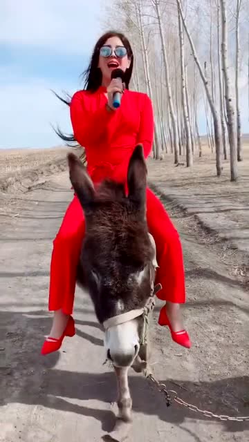 美女骑驴头图片